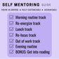 Self Mentoring Guide: months 2 to 6