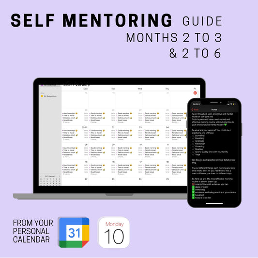 Self Mentoring Guide: months 2 to 6
