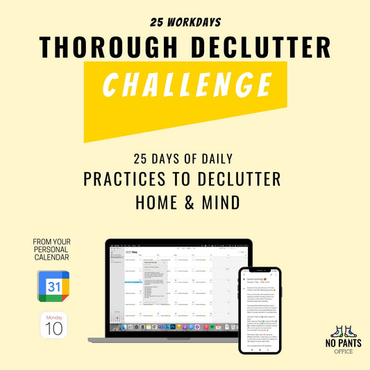Thorough Declutter Challenge